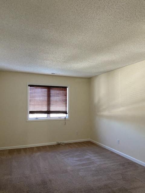 Gallery Photo 14